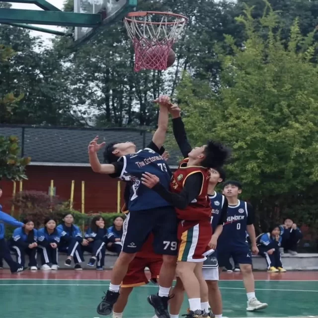 第290组选手阵容深度观察：赛事动态全面解析